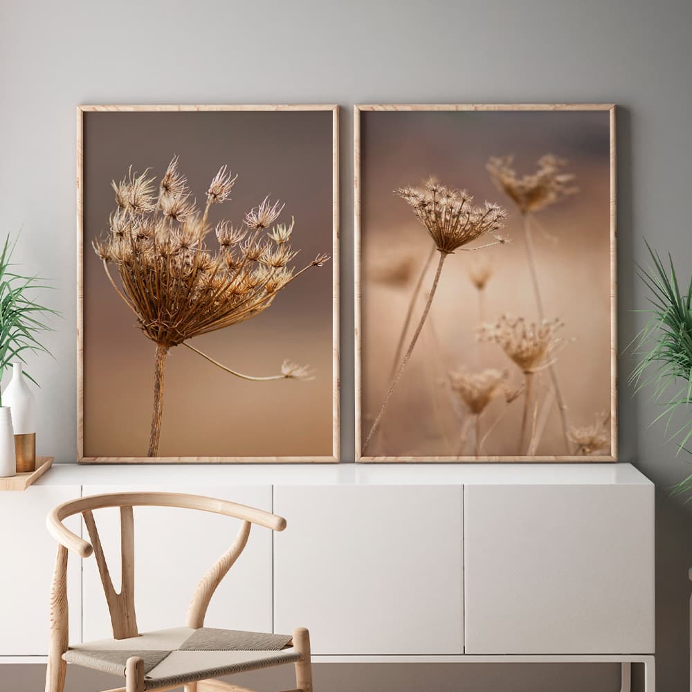 Kit Quadros Decorativos Florais e Folhagens Dente de Leão Plantas Secas Outono